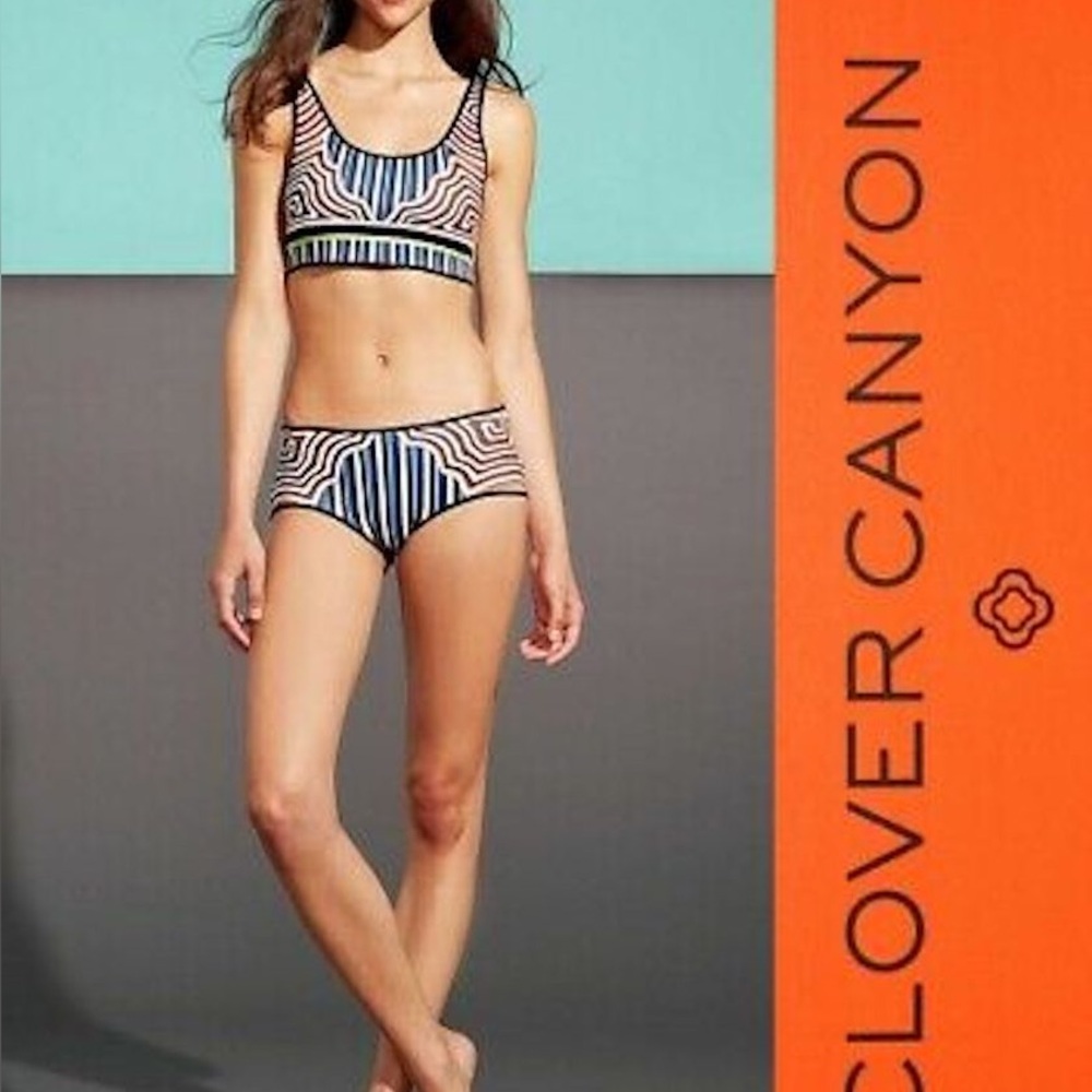 Clover Canyon Striped Labyrinth Bikini